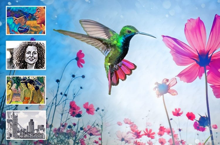 Adobe Photoshop Elements 2024 | Full Version | Genuine Lifetime License | Australian Stock - INFINITE-ITECH