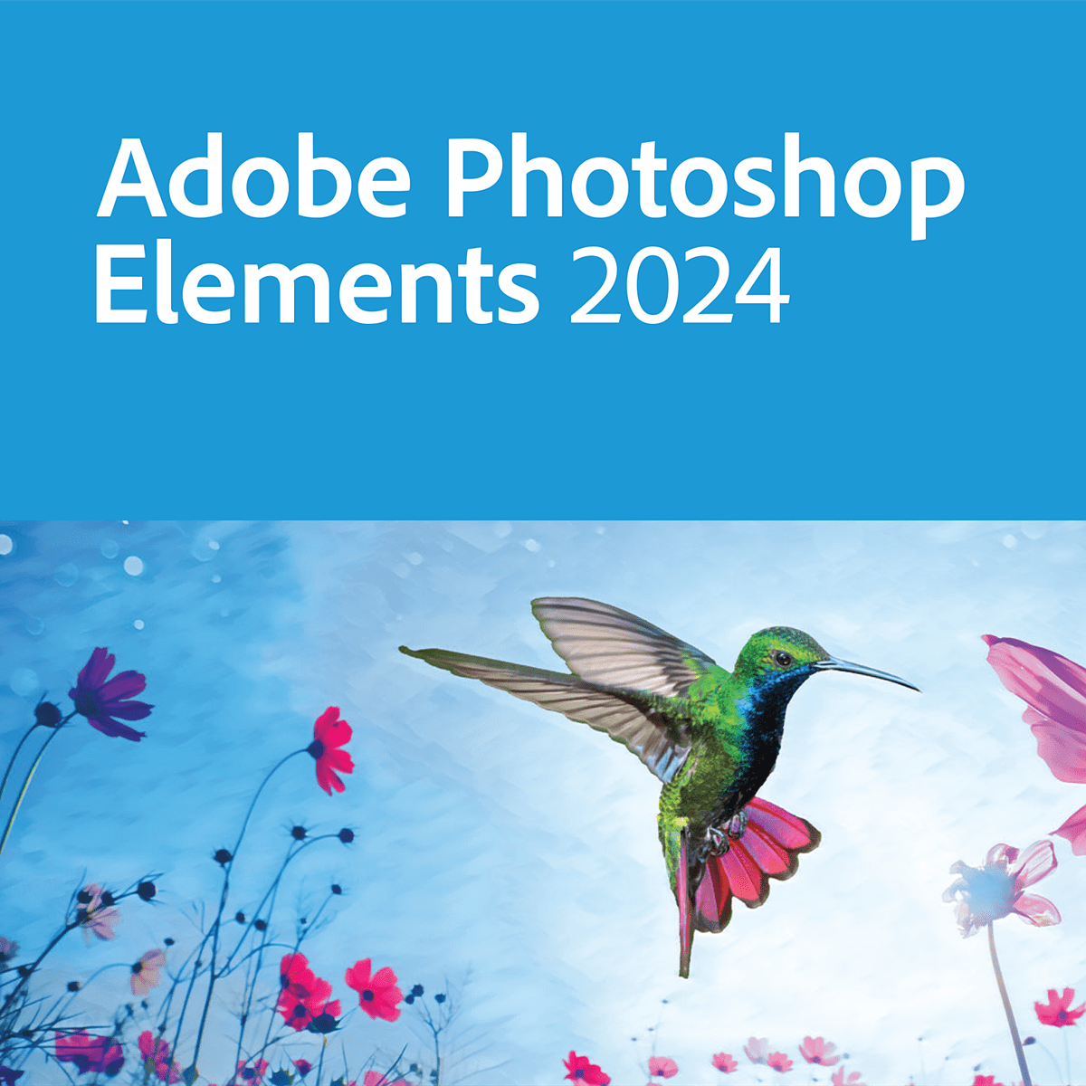 Adobe Photoshop Elements 2024 | Full Version | Genuine Lifetime License | Australian Stock - INFINITE-ITECH