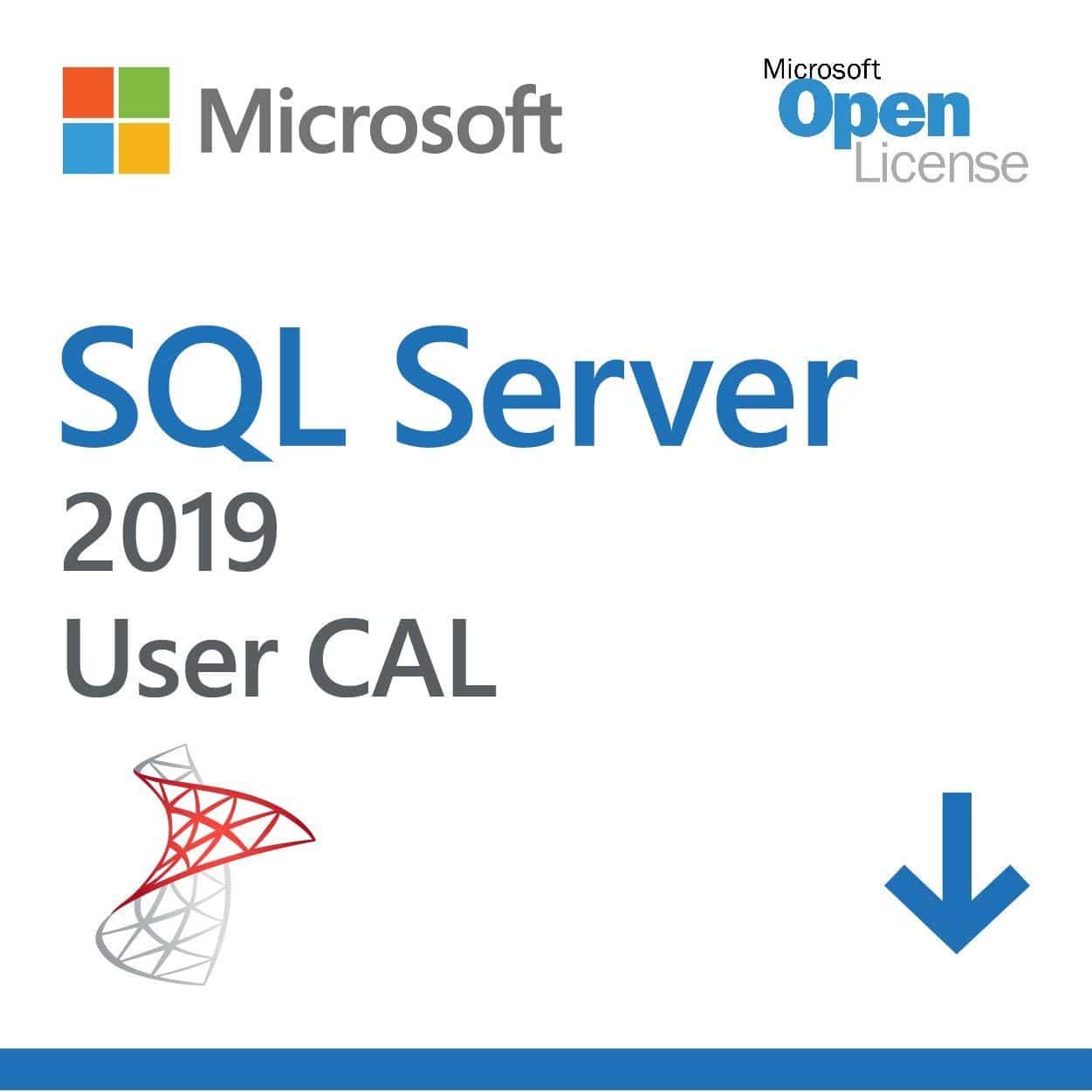 Microsoft SQL Server 2019 Standard - User Client Access License | Australian Stock - INFINITE-ITECH