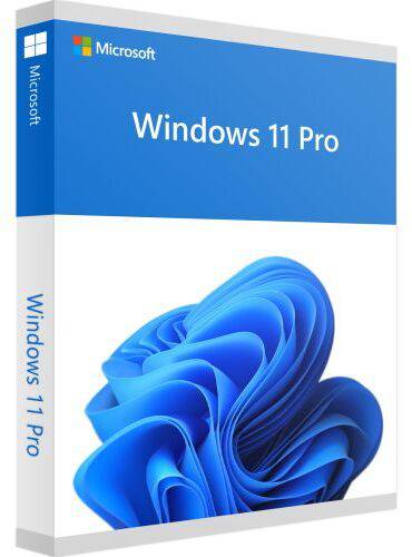 Windows 11 Pro USB Flash Drive Retail Box | OEM DVD | Digital Download | Transferable License Key for 1 PC | Australian Stock - INFINITE-ITECH